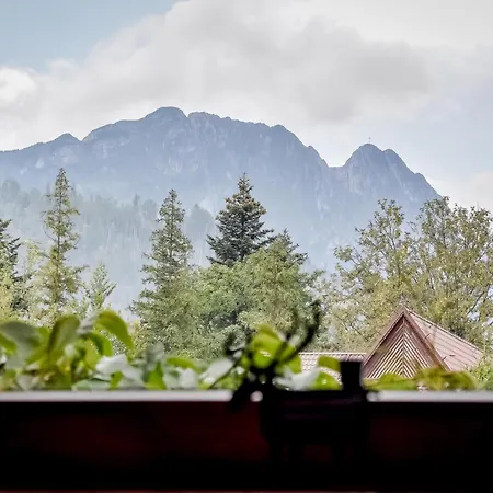 Apart4sleepers Dadejowka Centrum Zakoapne Шале Закопане