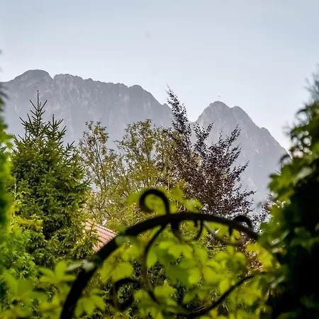 Apart4sleepers Dadejowka Centrum Zakoapne Zakopane