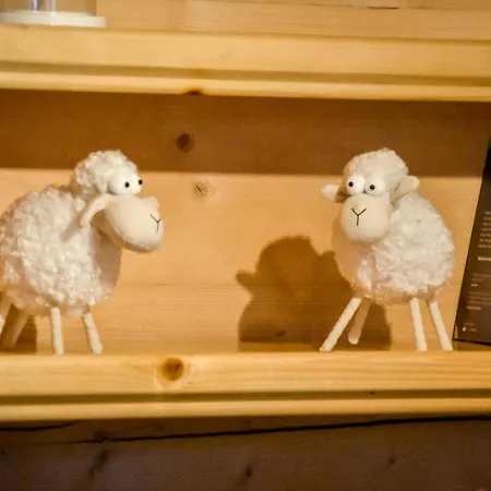 Apart4sleepers Dadejowka Centrum Zakoapne * 자코파네