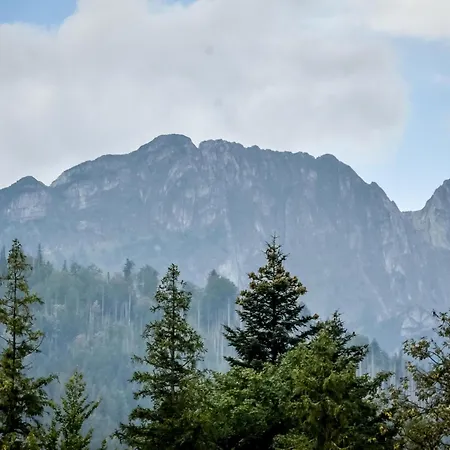 Apart4sleepers Dadejowka Centrum Zakoapne *